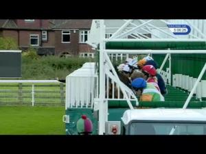 Video preview image for York 17:05 - Elevator Company Novice Auction Stakes (3)