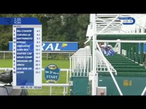 Video preview image for York 14:05 - Download The Coral App Handicap (2)