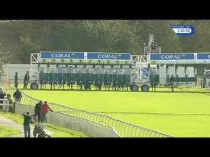 Video preview image for York 14:40 - coral.co.uk Rockingham Stakes (Listed) (1)