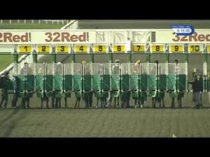 Video preview image for Kempton Park 18:15 - 32Red/british Stallion Studs EBF Novice Stakes (5)