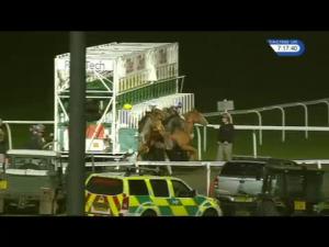 Video preview image for Kempton Park 19:15 - 32Red Casino Novice Median Auction Stakes (6) (Div 2)