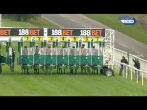 Video preview image for Goodwood 14:35 - Hildon Novice Auction Stakes (5)