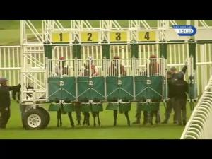 Video preview image for Musselburgh 13:50 - Racinguk Profits Returned To Racing Novice Stakes (5)