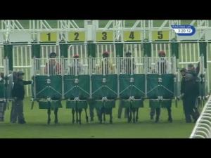 Video preview image for Musselburgh 15:20 - Breeders Backing Racing EBF Flying Scotsman Conditions Stakes (3)