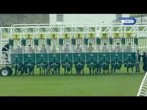 Video preview image for Musselburgh 15:50 - Never Miss A Race On Racinguk Handicap (5)