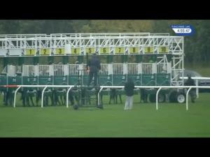 Video preview image for Musselburgh 16:55 - Finest Collection Of Racing On Racinguk Handicap (5) (Div 2)