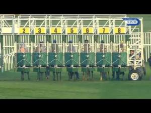 Video preview image for Musselburgh 17:25 - Racing UK Now In HD! Amateur Riders' Handicap (5)