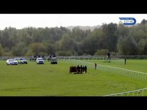 Video preview image for Huntingdon 14:20 - 32Red On The App Store Handicap Hurdle (4)