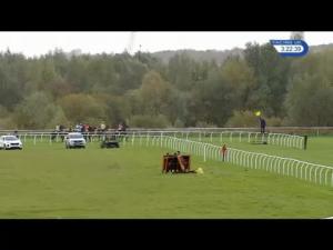 Video preview image for Huntingdon 15:20 - 32Red Casino Novices' Hurdle (4)