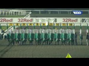 Video preview image for Kempton Park 18:45 - 32Red On The App Store Nursery Handicap (5)
