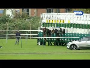 Video preview image for Nottingham 14:00 - Kier Construction EBF Maiden Stakes (5) (Div 2)