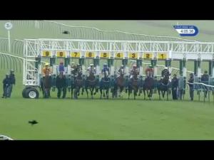 Video preview image for Nottingham 16:05 - Tba Centenary Fillies' Handicap (3)