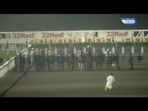 Video preview image for Kempton Park 18:45 - 32Red On The App Store Fillies' Novice Stakes (5) (Div 1)