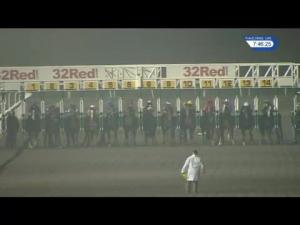 Video preview image for Kempton Park 19:45 - 32red.com Novice Stakes (5)