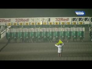 Video preview image for Kempton Park 20:15 - 32Red/stallions Breeding Winners EBF Fillies' Handicap (4)