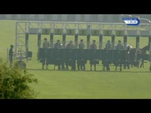 Video preview image for Redcar 13:30 - All New racinguk.com British EBF Novice Stakes (5)