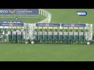 Video preview image for Ascot 13:25 - QIPCO British Champions Long Distance Cup (Group 2) (1)