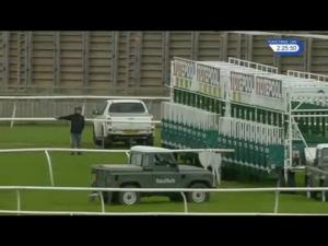 Video preview image for Catterick Bridge 14:25 - Totescoop6 Play Today EBF Fillies' Novice Stakes (4)