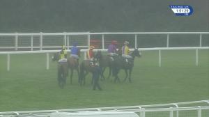 Video preview image for Ascot 13:50 - olbg.com Mares' Hurdle (Warfield) (Grade 2) (1)