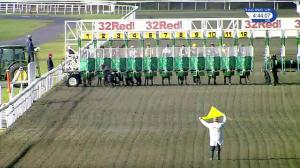 Video preview image for Kempton Park 16:40 - Super Q Handicap (7)