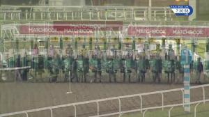 Video preview image for Kempton Park 19:30 - Matchbook Casino Handicap (Qualifier) (4)