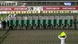 Video preview image for Kempton Park 20:30 - Smarter Bets With Matchbook Handicap (6)