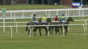 Video preview image for Musselburgh 12:55 - Bet365 British Stallion Studs EBF 'National Hunt' Maiden Hurdle (Qualifier) (4)