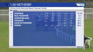 Video preview image for Wetherby 13:00 - Wilmot-Smith Memorial Mares' Novices' Hurdle (Qualifier) (4)