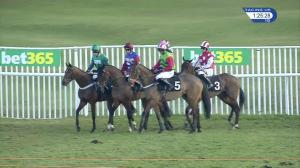 Video preview image for Musselburgh 13:25 - Bet365 Scottish Triumph Hurdle Trial Juvenile Hurdle (Listed) (1)