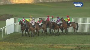 Video preview image for Musselburgh 16:20 - Bet365 Standard Open National Hunt Flat (4)