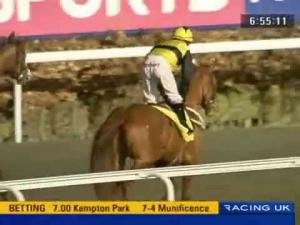 Video preview image for Kempton Park 19:00 - Betdaq Mobile Apps Median Auction Maiden Stakes