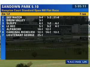 Video preview image for Sandown Park 17:10 - Hampton Court Standard Open NH Flat Race