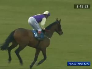 Video preview image for Wetherby 15:50 - Bramham Hall For Conferences & Banquets Novices' Hurdle