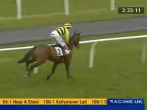 Video preview image for Carlisle 15:40 - Cumberland Show Handicap Chase