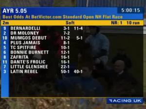 Video preview image for Ayr 17:05 - Best Odds At betvictor.com Standard Open NH Flat Race