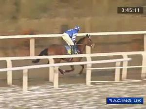 Video preview image for Kempton Park 15:50 - Follow At Betfairracing On Twitter Mares' Standard Open NH Flat Race