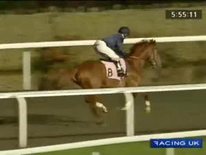 Video preview image for Kempton Park 18:00 - Betdaq Multiples Handicap