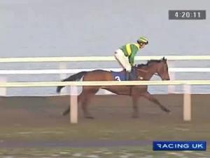 Video preview image for Kempton Park 16:25 - Betfair Jumpers' Bumper NH Flat Race