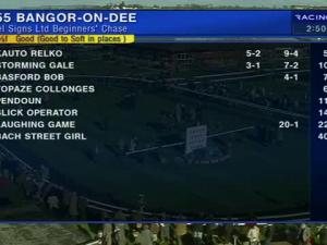 Video preview image for Bangor-On-Dee 14:55 - Excel Signs Ltd Beginners' Chase