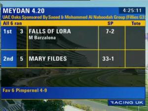 Video preview image for Huntingdon 16:30 - pointtopoint.co.uk Hunters' Chase