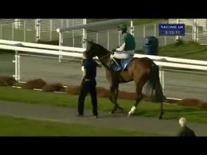 Video preview image for Ludlow 17:20 - Jp Seafoods Standard Open NH Flat Race