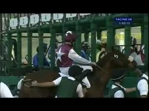 Video preview image for Kempton Park 13:45 - 32Red Novices' Hurdle