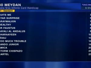 Video preview image for Newbury 17:30 - Dbs Spring Sales Bumper (Standard Open NH Flat Race)