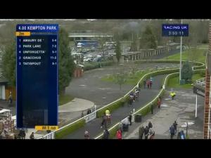 Video preview image for Kempton Park 16:00 - 32redpoker.com Novices' Handicap Chase