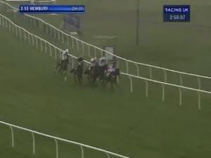Video preview image for Newbury 14:55 - Physicool Handicap Chase (In Aid Of West Berkshire Mencap) (For The Geoffrey Gilbey Trophy)