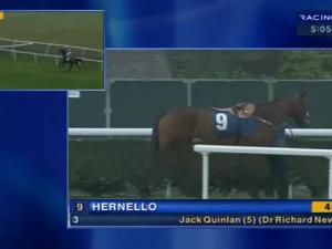 Video preview image for Newbury 17:10 - Mc Seafoods Mares' Standard Open NH Flat Race