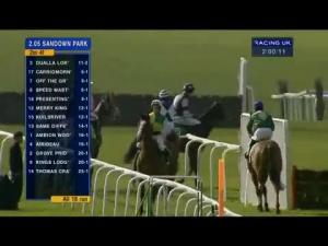 Video preview image for Sandown Park 14:05 - European Breeders' Fund paddypower.com 'National Hunt' Novices' Handicap Hurdle Final (Grade 3)