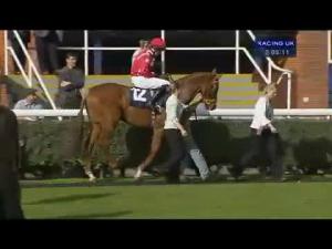 Video preview image for Newbury 15:10 - John Haine Memorial Novices' Hurdle