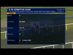 Video preview image for Kempton Park 17:30 - Free Betdaq Cheltenham Preview Here Tonight Median Auction Maiden Stakes