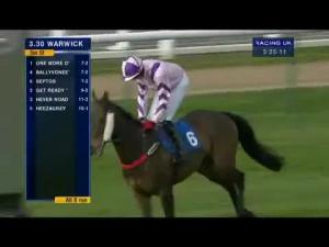 Video preview image for Warwick 15:30 - Tribute To Molson Coors Customers Handicap Chase